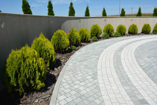 Best Custom Driveway Pavers  in Brooklyn, WI